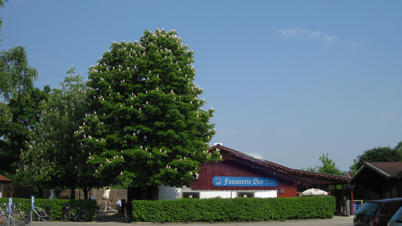 Biergarten