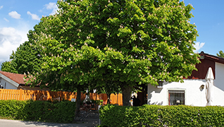 Vereinsheim mit Gaststätte